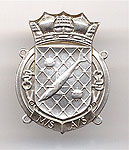 RNPS Silver Badge Design